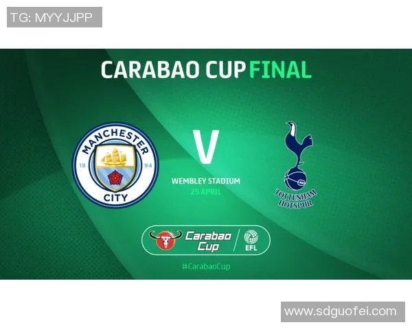 热刺与西部罗精彩对决直播时间及观看指南详解