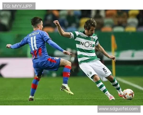 斯旺西与伯明翰足球历史交锋回顾与战绩分析