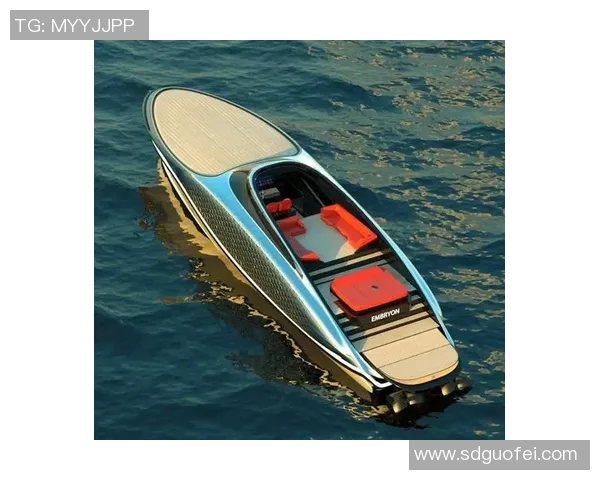 探索Vs10实验快艇的创新设计与未来发展潜力分析