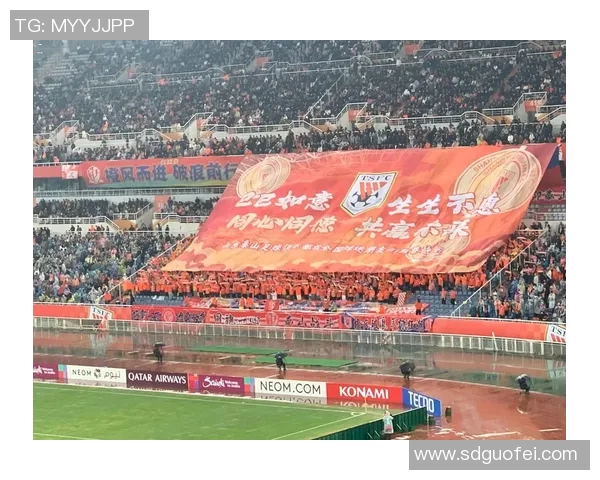 亚冠激战鲁能迎战庆南全力争胜力争小组出线机会